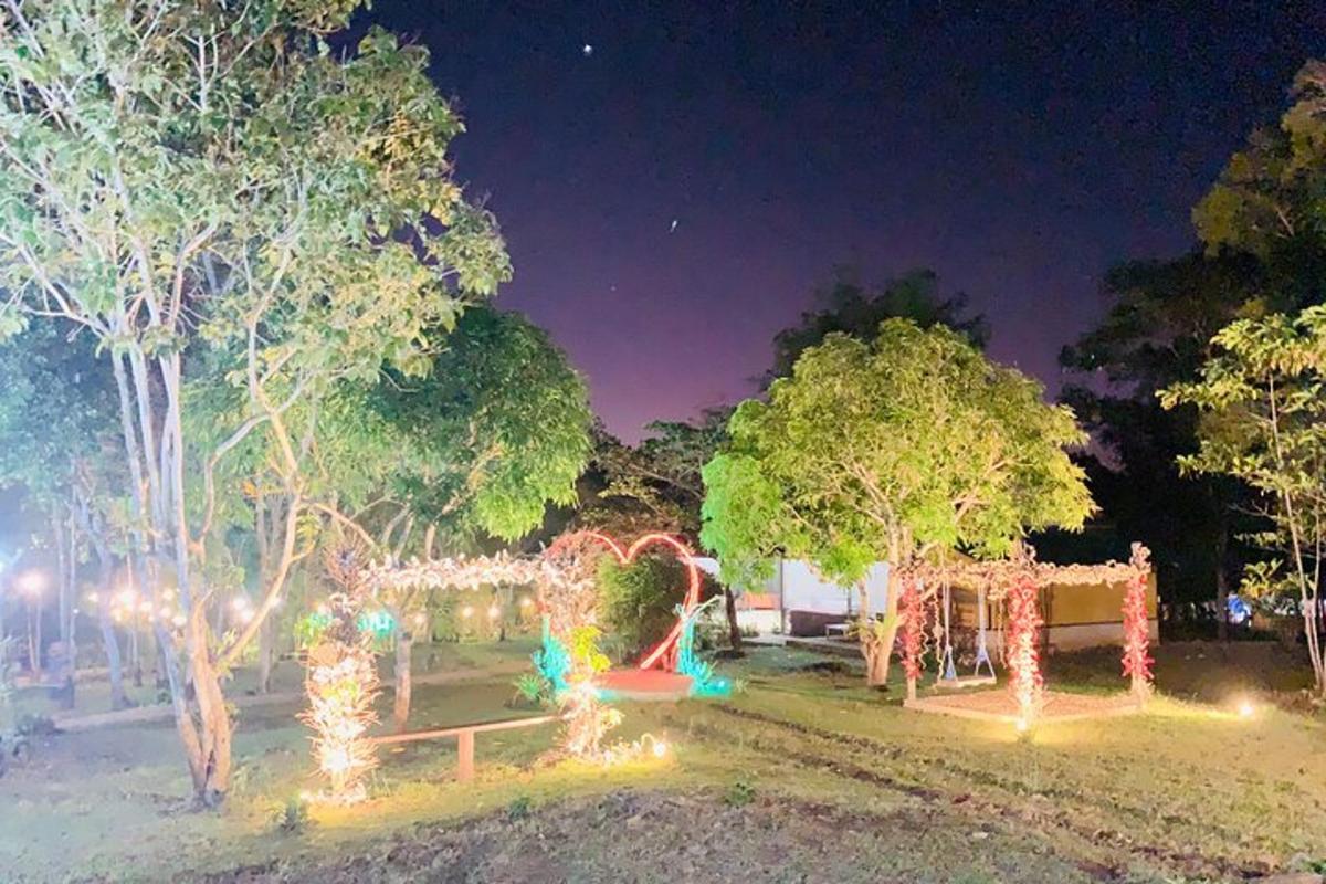 a park lit up at night with christmas lights