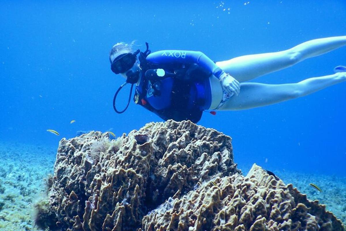 Ένα άτομο κολυμπάει στον ωκεανό με μια κάμερα