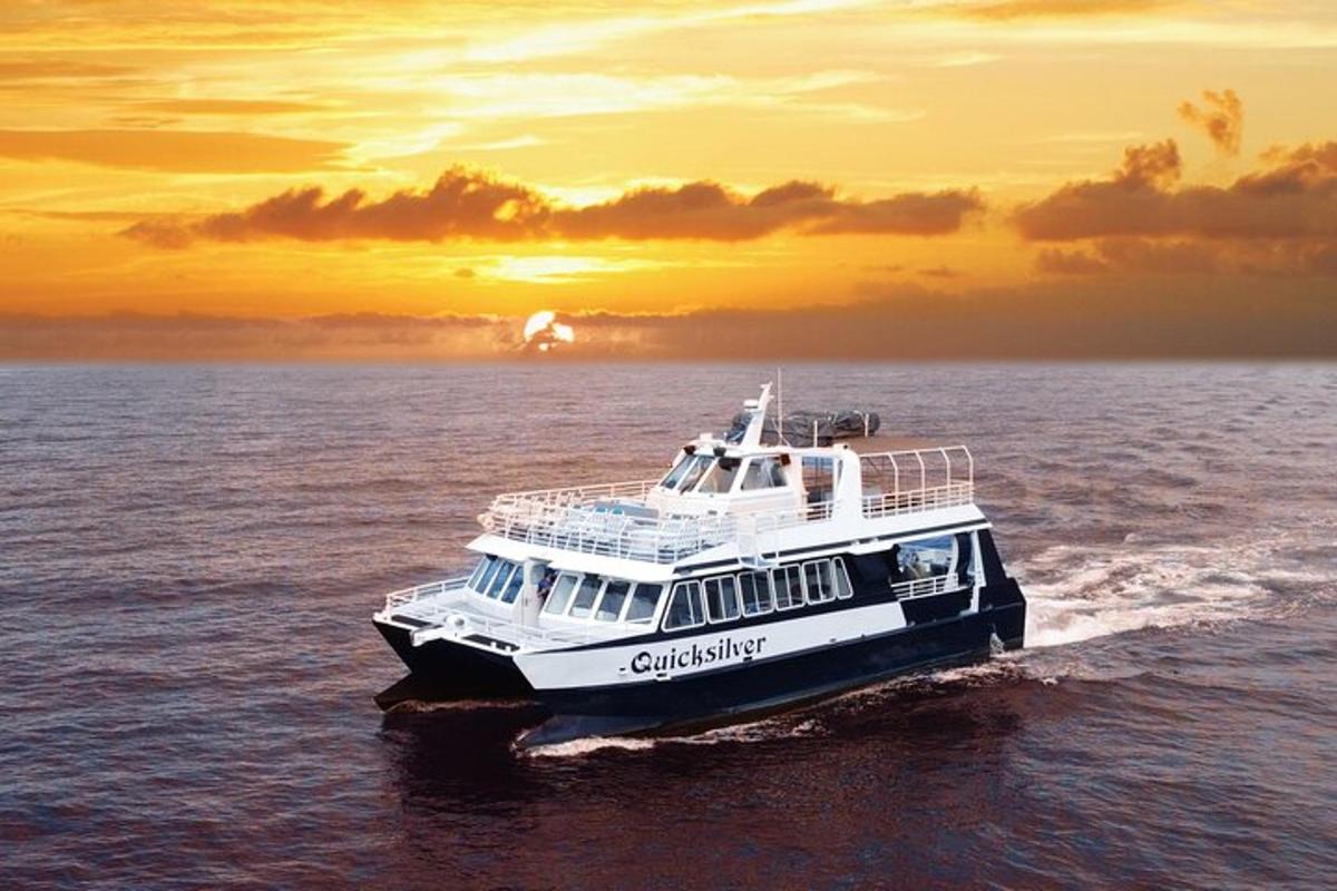 um barco na água com o pôr do sol ao fundo