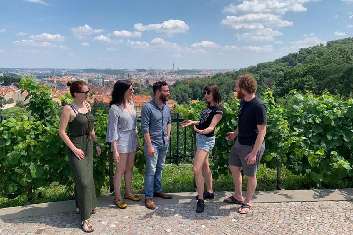 skupina ljudi, ki stojijo naokoli v vinogradu