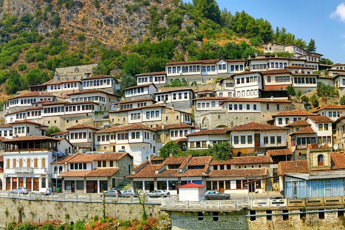 a bunch of houses on a hill with a river