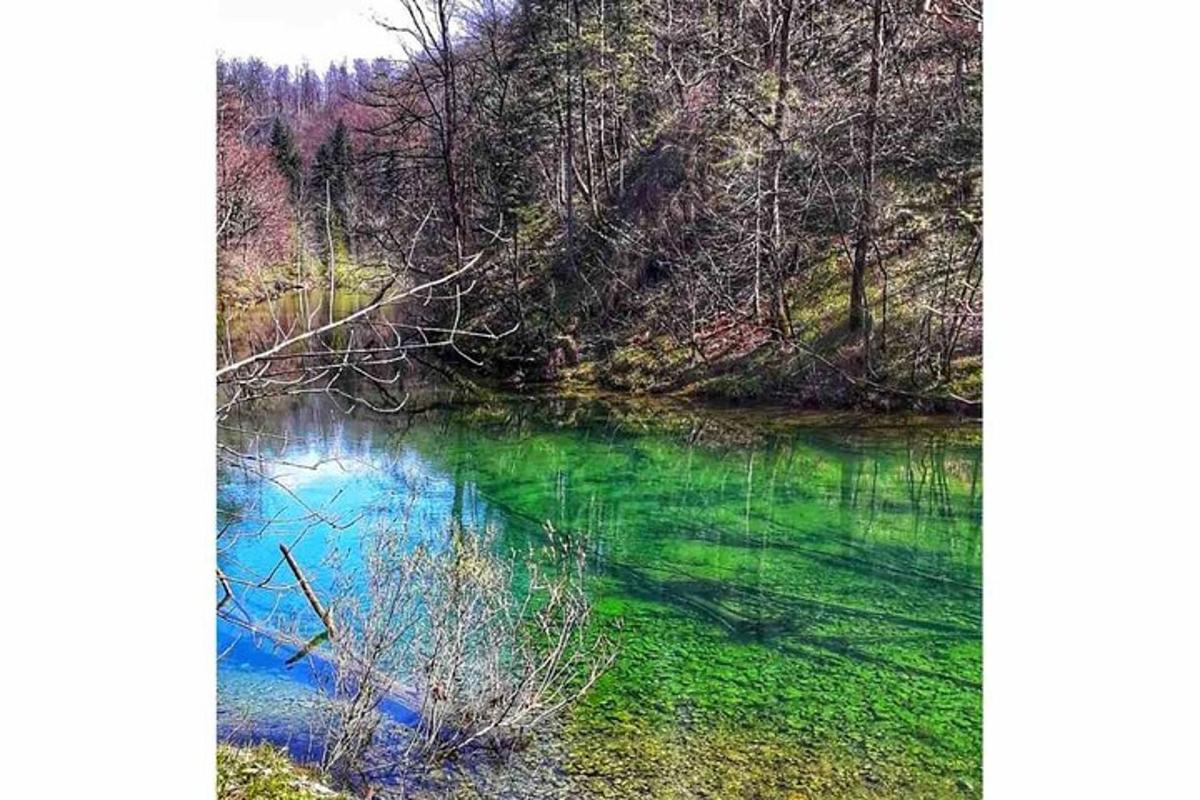 un fiume con l'acqua verde nel mezzo