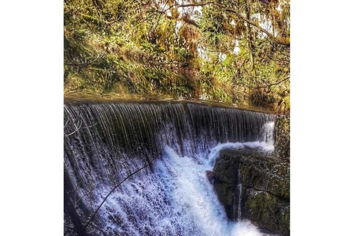 una cascata nel bosco con l'acqua che scorre impetuosa sopra