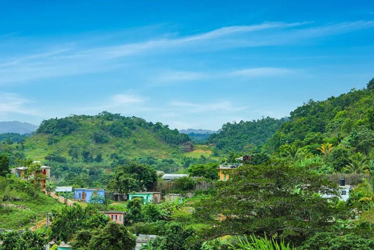 uma pequena vila em uma colina com árvores