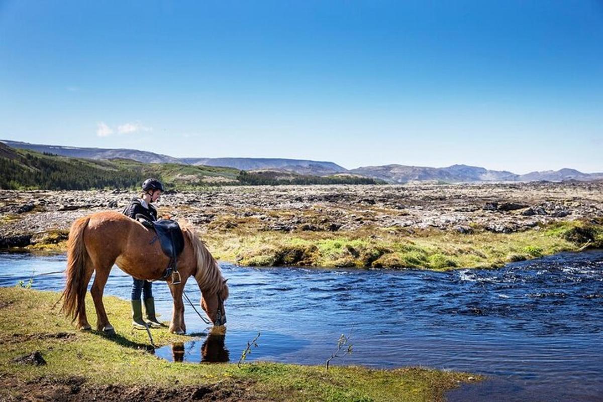 una persona a cavallo che beve acqua da un fiume