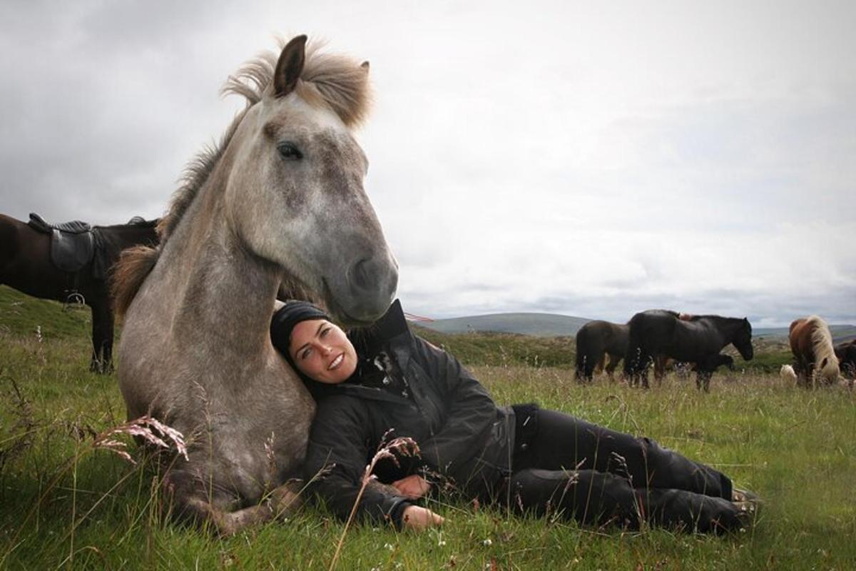 una persona sdraiata in un campo con un cavallo