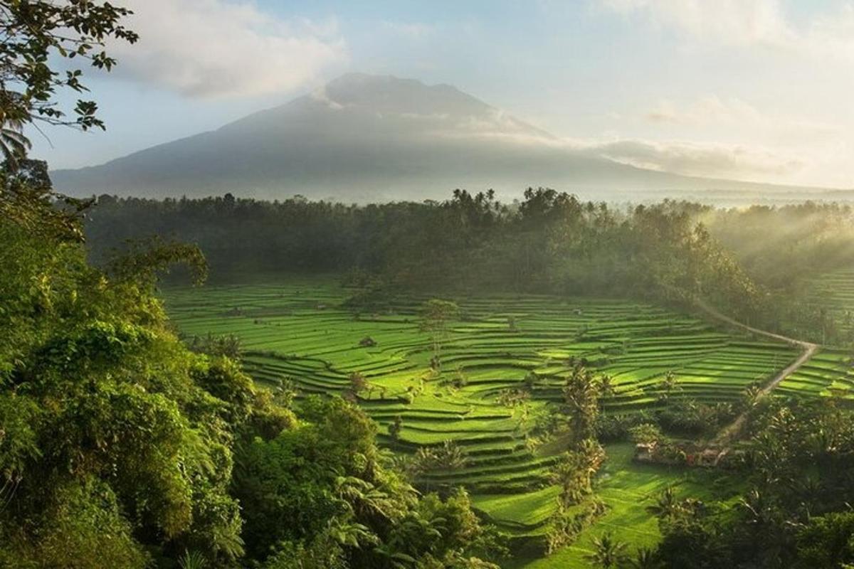 a lush green field with a mountain in the background