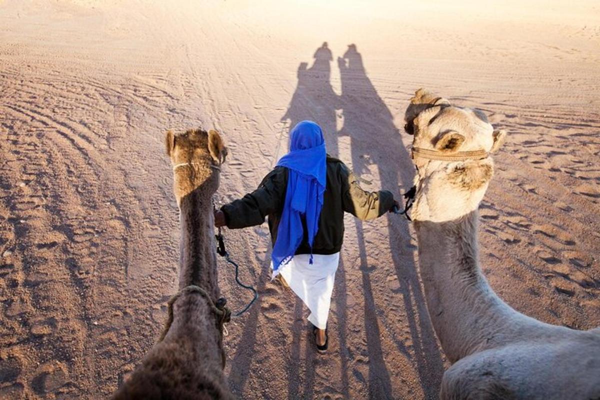 a man walking a camel on the beach