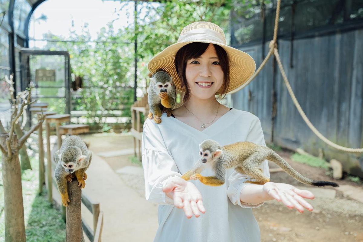 a woman holding three monkeys on her arms