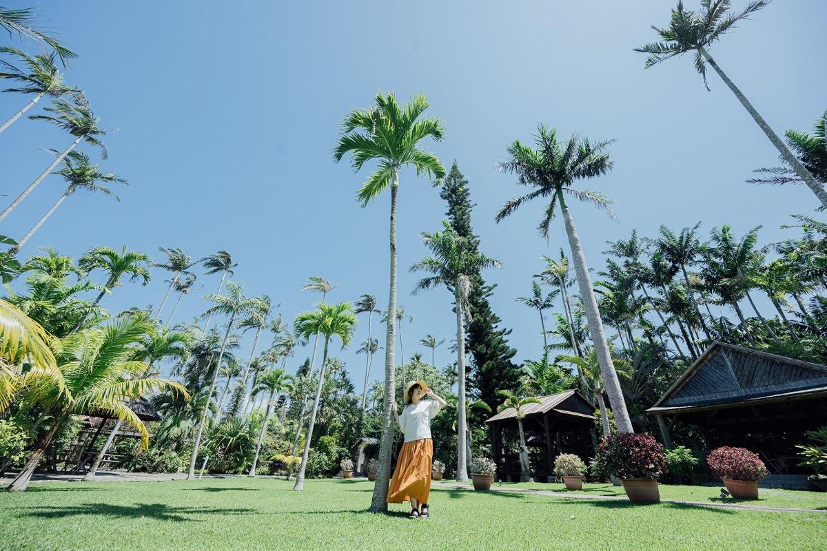 a woman standing in a park with palm trees