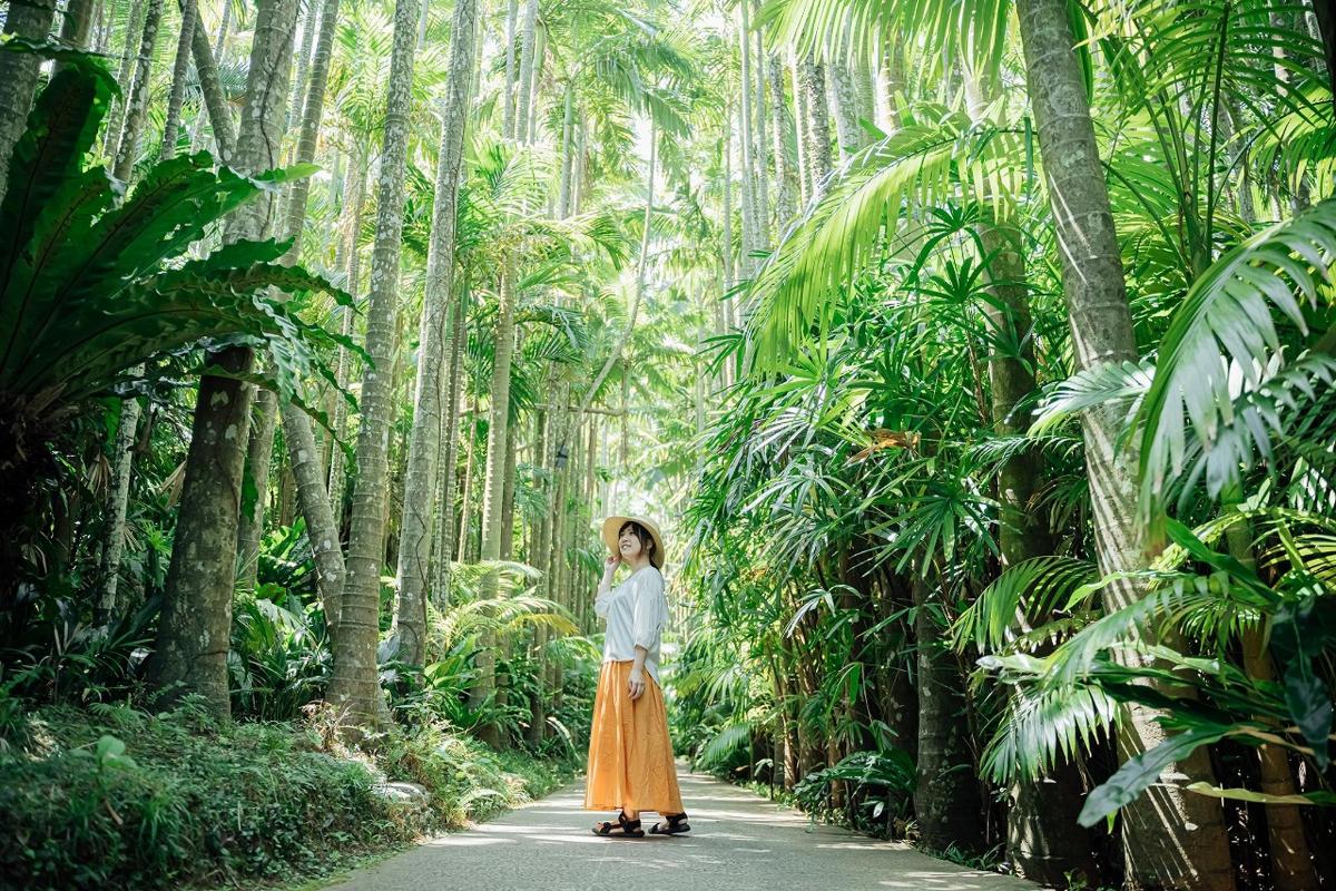 a woman walking down a road in a palm forest