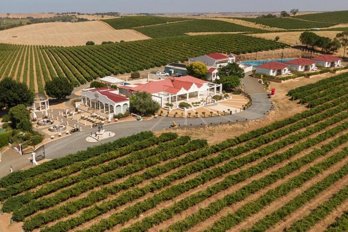 eine Luftaufnahme eines Weinbergs mit einem Haus und einer Straße