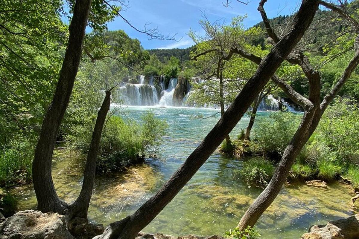una cascata in mezzo a un fiume con alberi