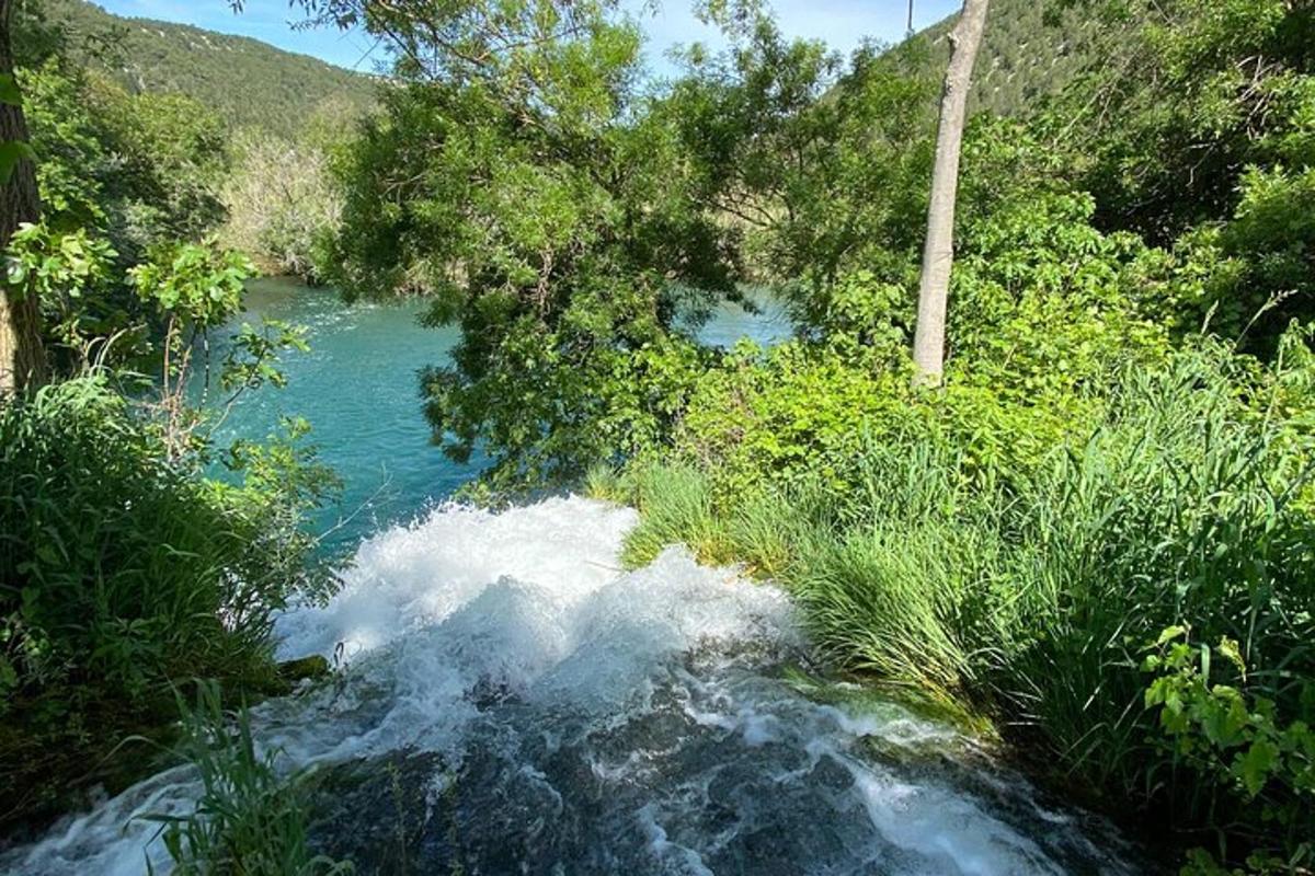 木々のある川の水の流れ