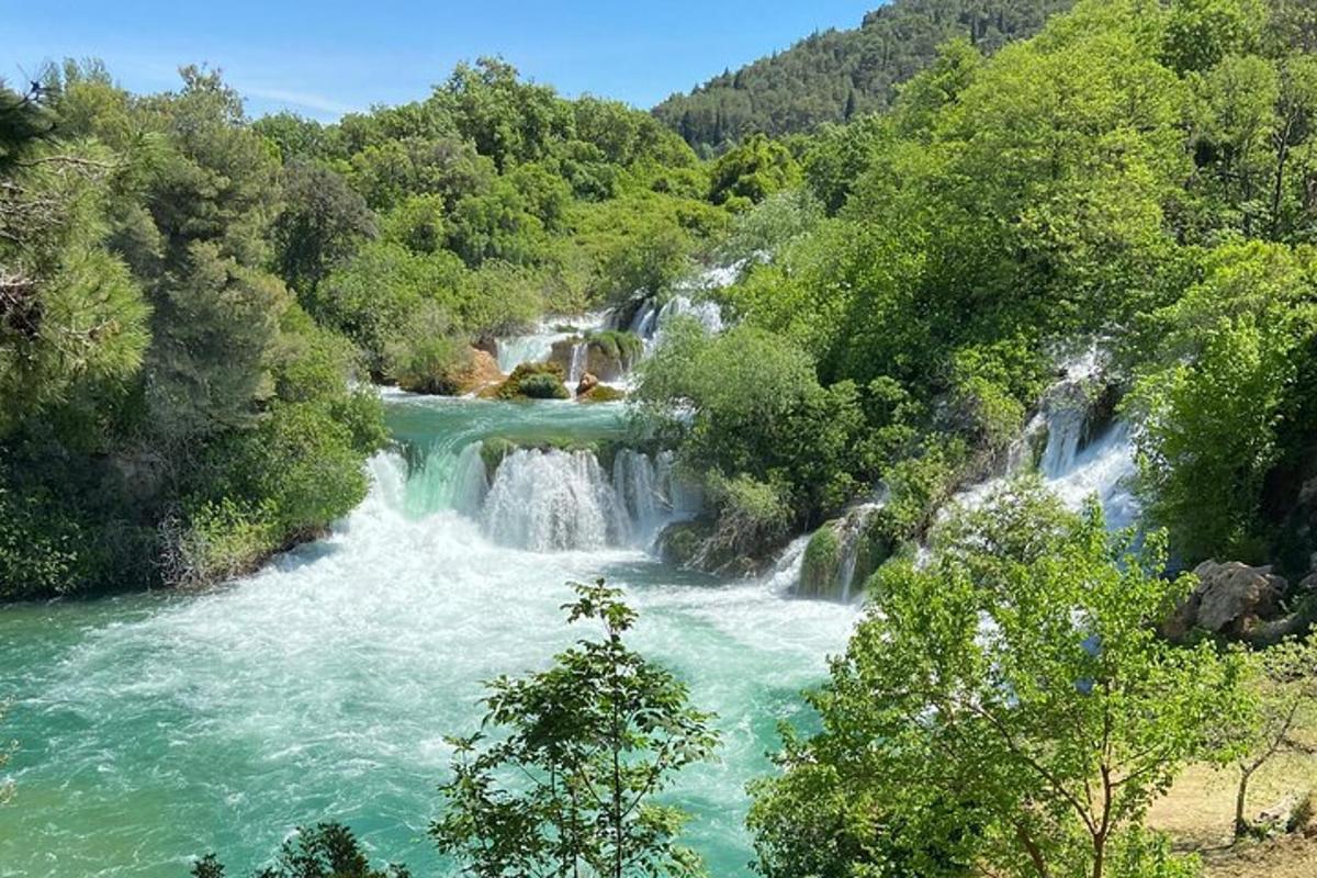 un fiume con cascate in mezzo a una foresta