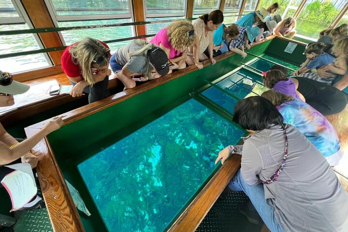 a group of people looking at an aquarium