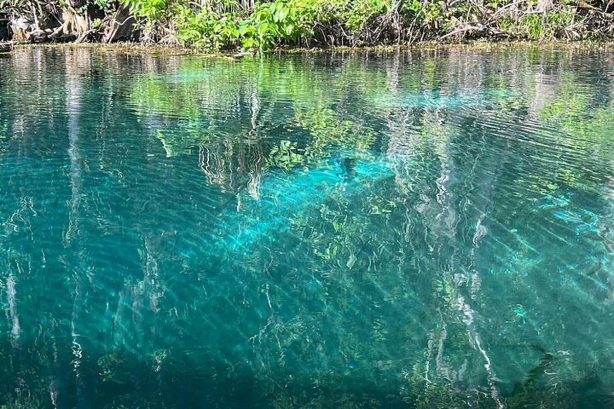 a blue object floating in a body of water