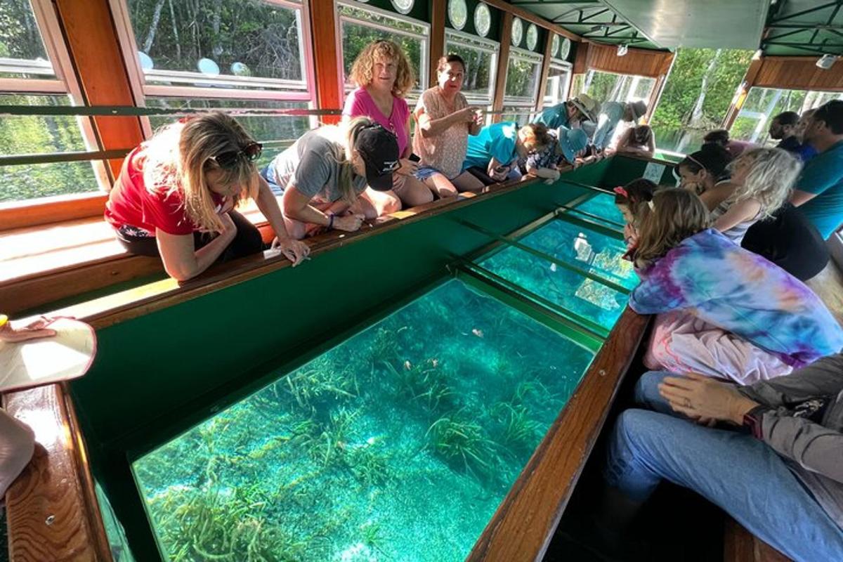 a group of people on a train looking at an aquarium