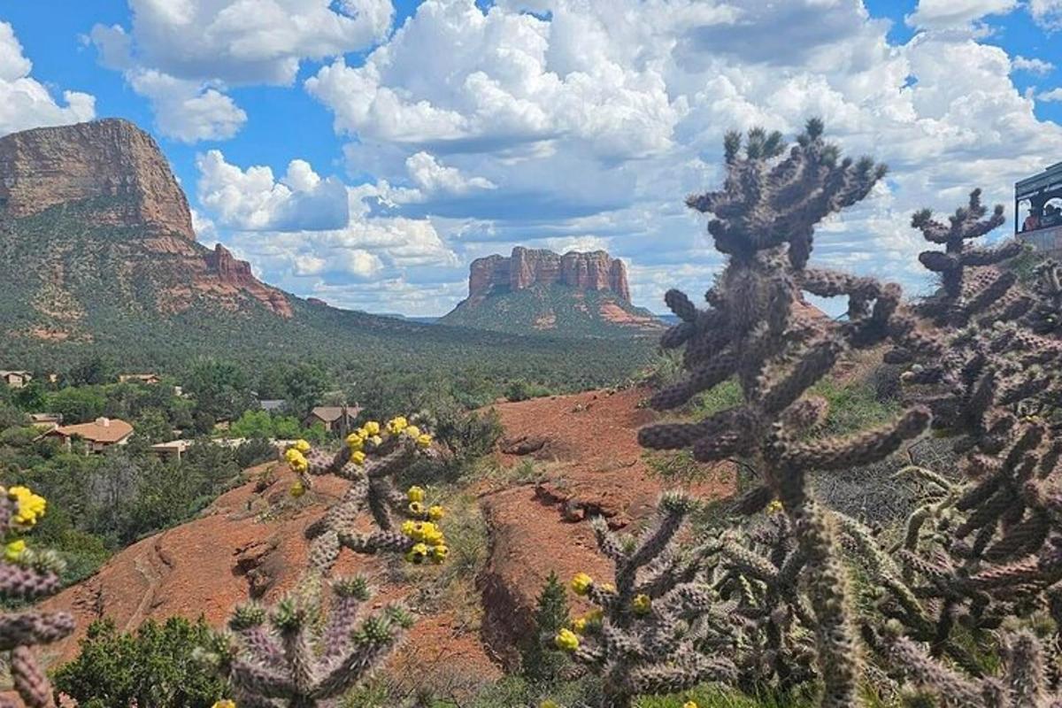 a view of a desert with cacti and mountains