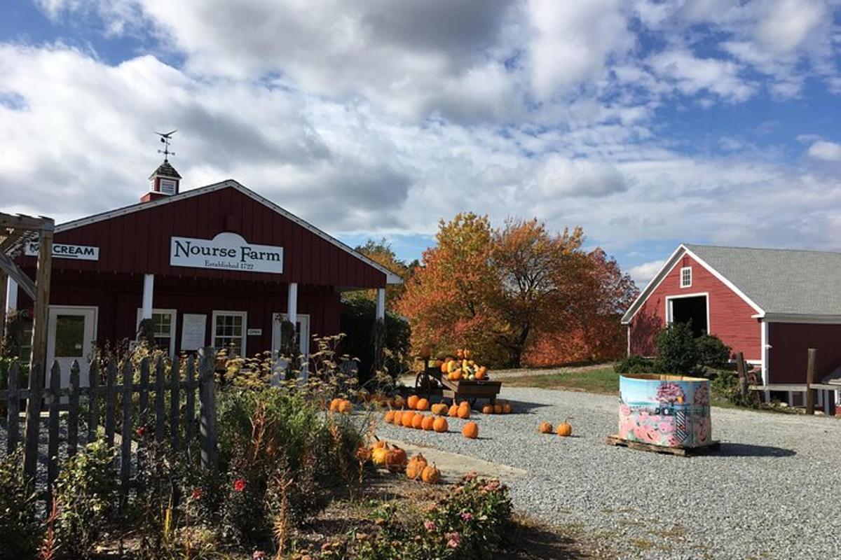 a barn with pumpkins in front of a house