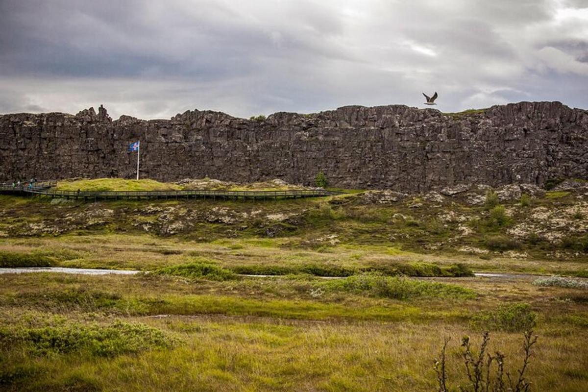 putns, kas lido pāri laukam ar klinšu sienu