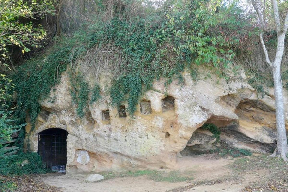 a cave in the side of a mountain with plants