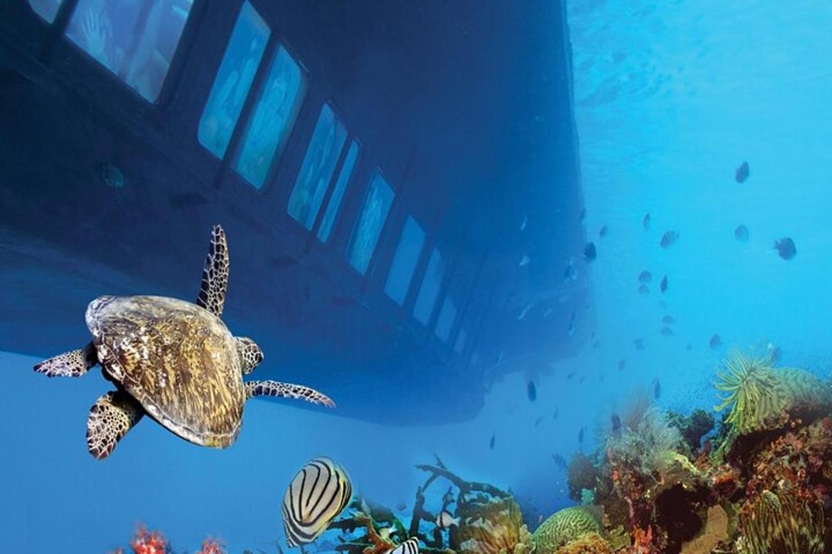 una tartaruga marina verde che nuota nell'oceano