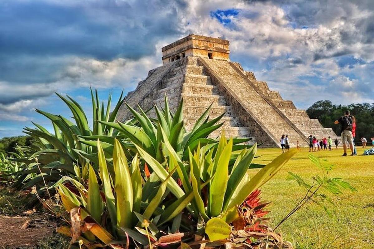 una piramide con una pianta davanti