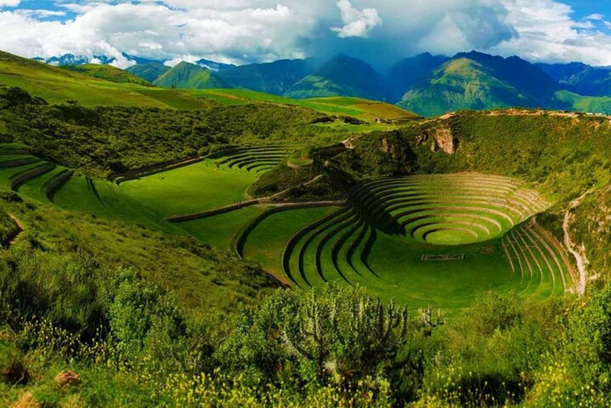 um grupo de campos em socalcos na encosta de uma montanha