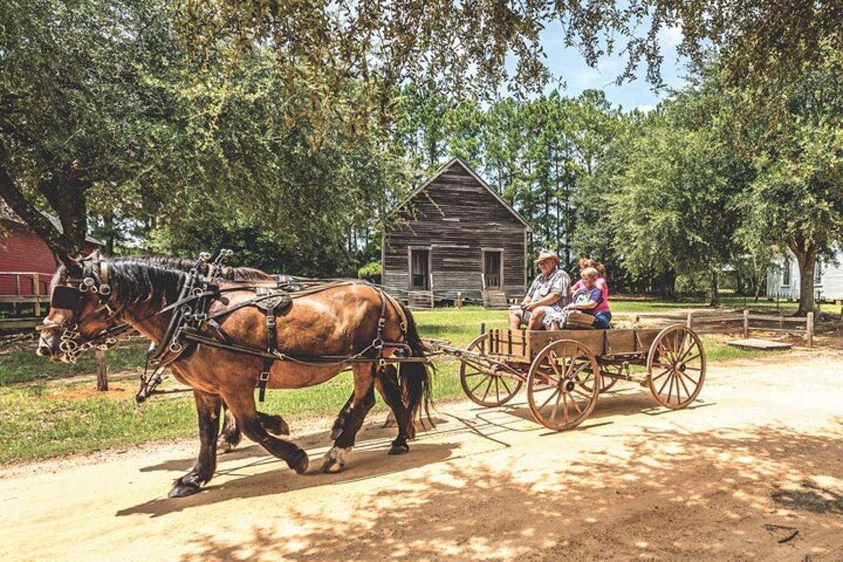 a horse pulling a carriage with two people on it