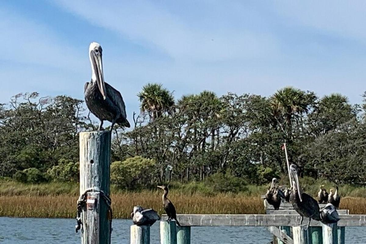 a group of birds sitting on a wooden post