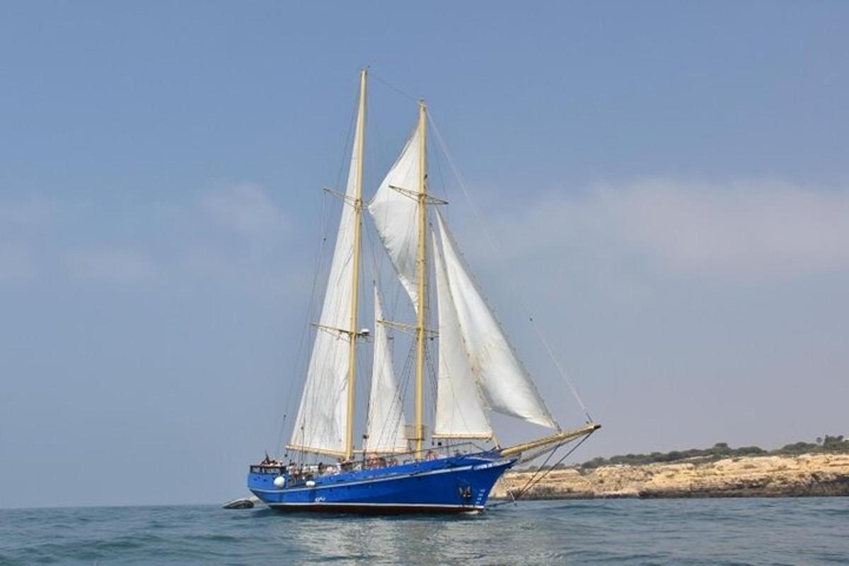 een blauw-witte zeilboot in het water