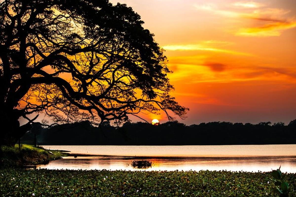 a sunset over a lake with a tree