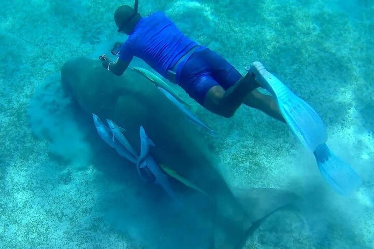 un bărbat călare pe spatele unui delfin în ocean