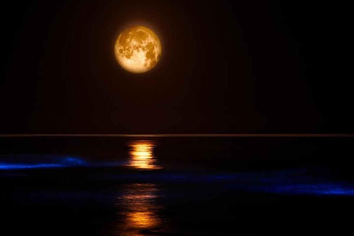 una luna piena nel cielo sopra l'acqua