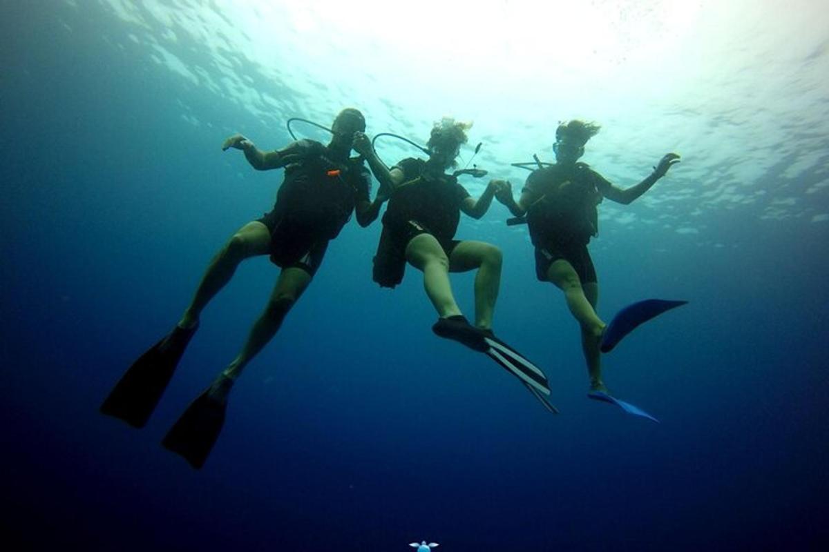 three people are diving in the water with a shark