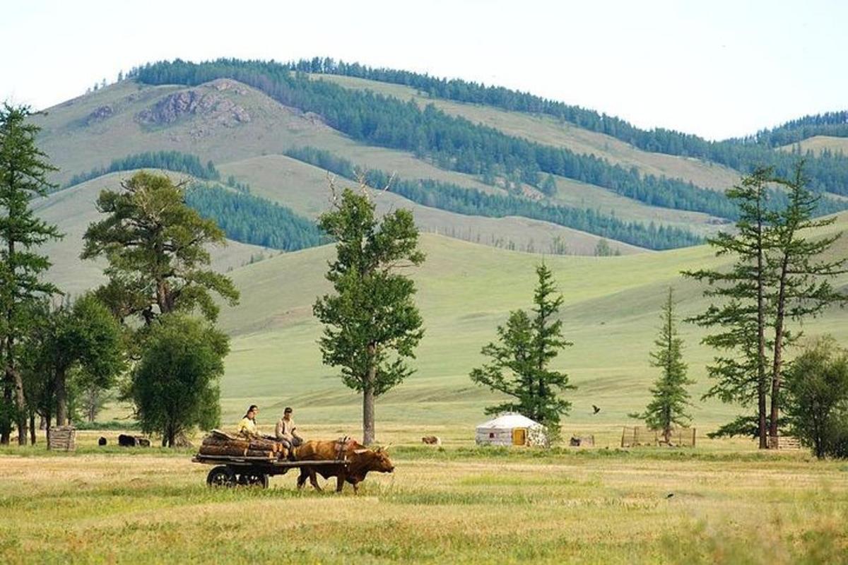 two people are riding on a horse drawn cart in a field