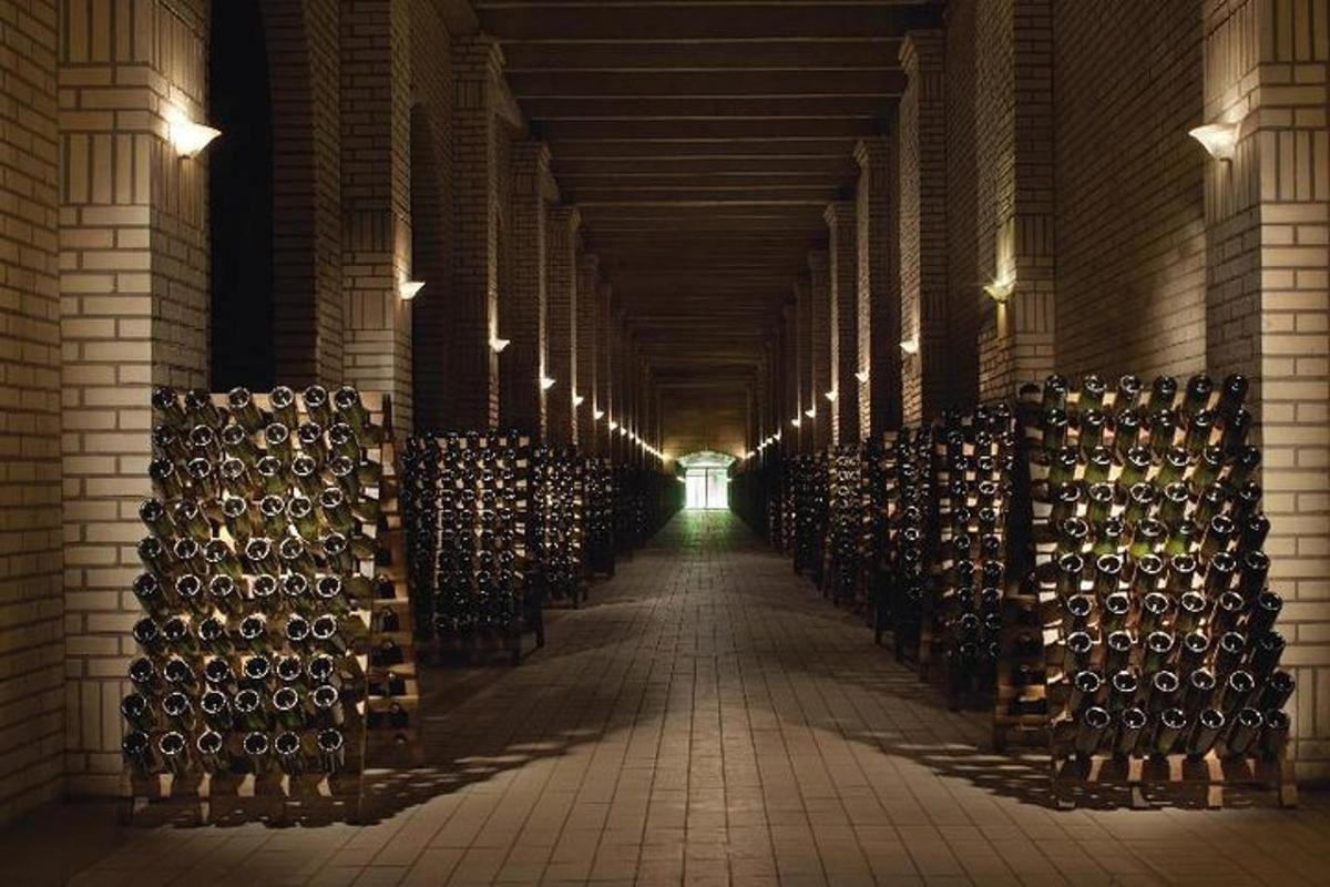 a hallway of a wine cellar with wine barrels