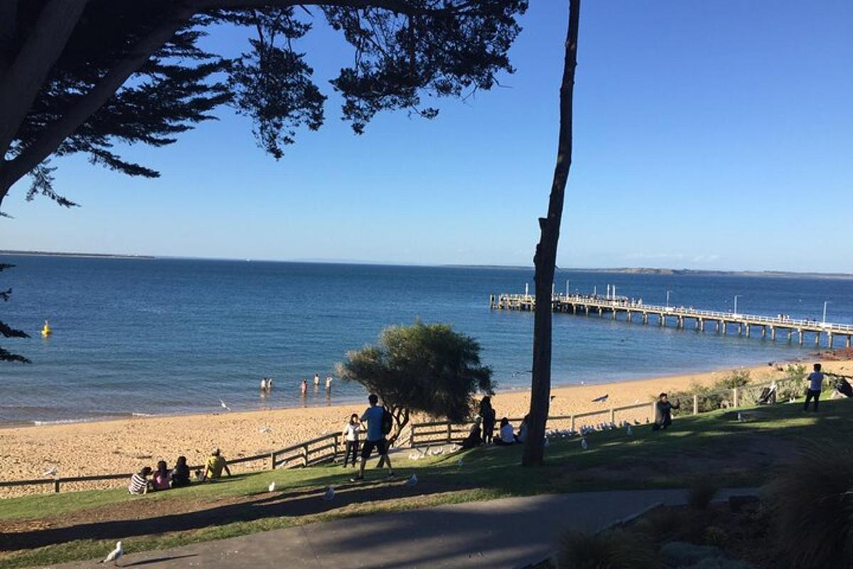 gent a la platja amb un moll a l'aigua