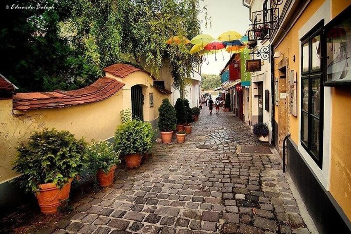 egy sikátor cserepes növényekkel és napernyőkkel az utcán