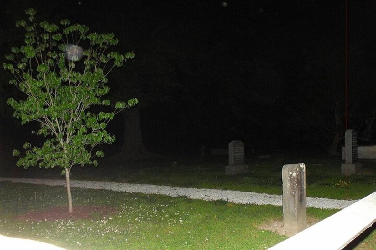 a small tree in a cemetery at night
