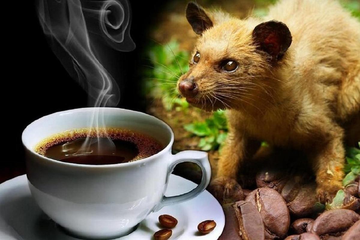 un petit animal dret al costat d'una tassa de cafè