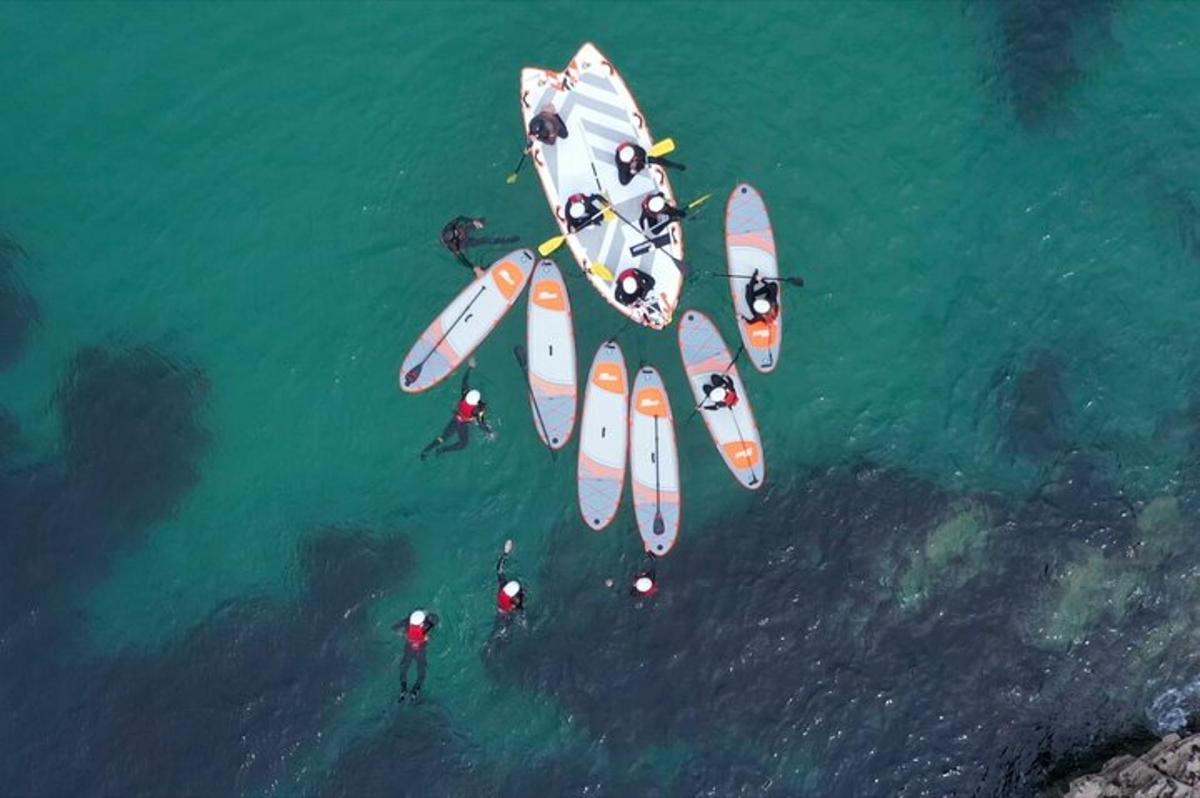 a group of people on surfboards in the water