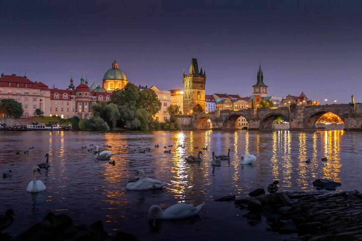 a group of swans in the water in front of a bridge