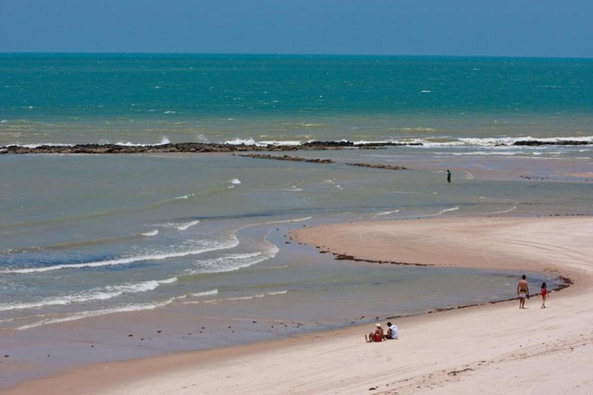 a group of people on a beach near the ocean