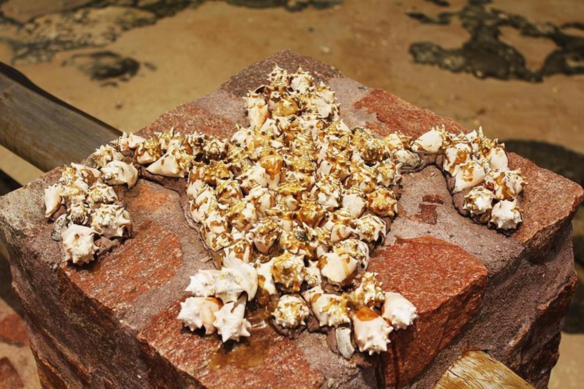 a pile of debris on top of a piece of wood