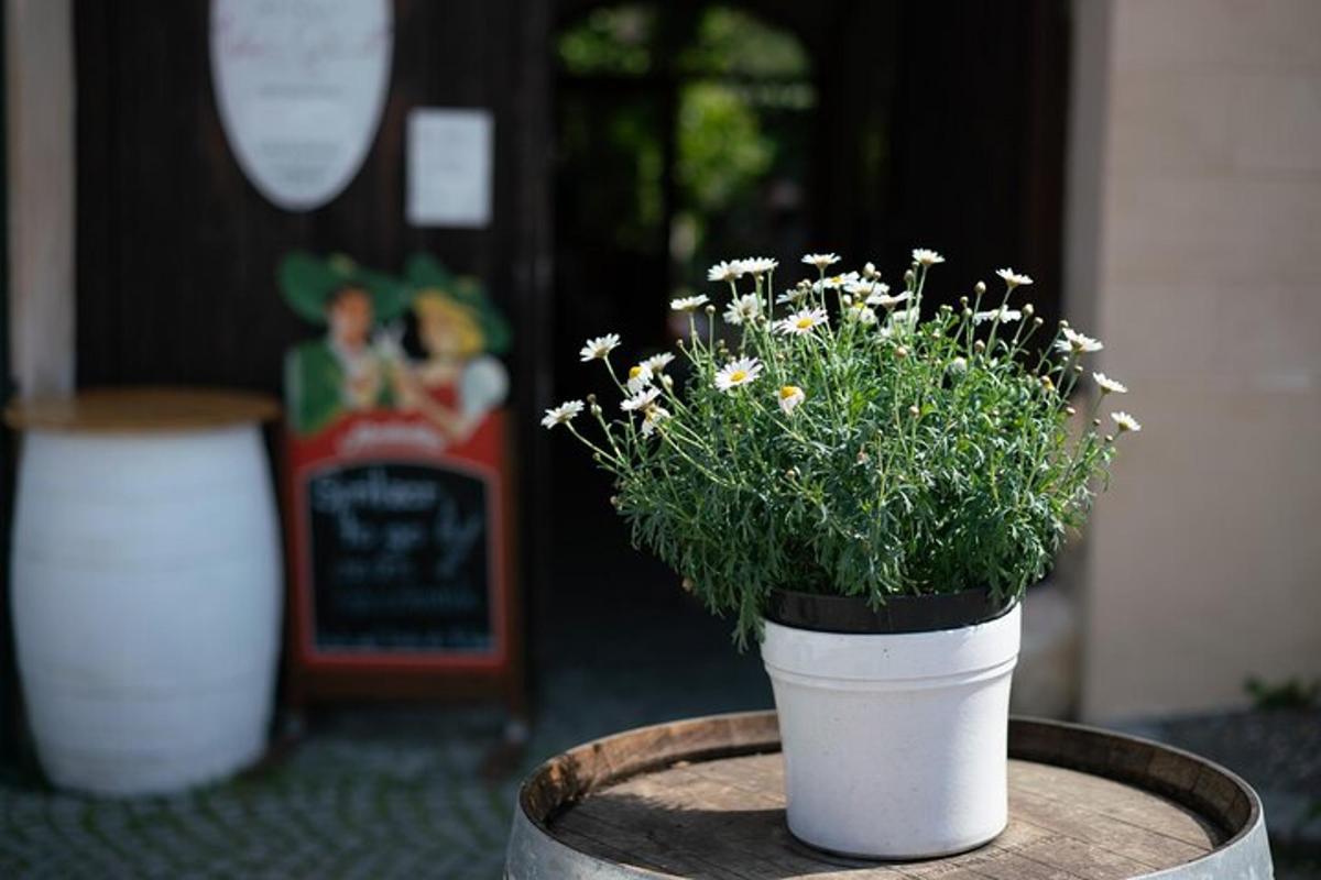 a potted plant sitting on top of a barrel