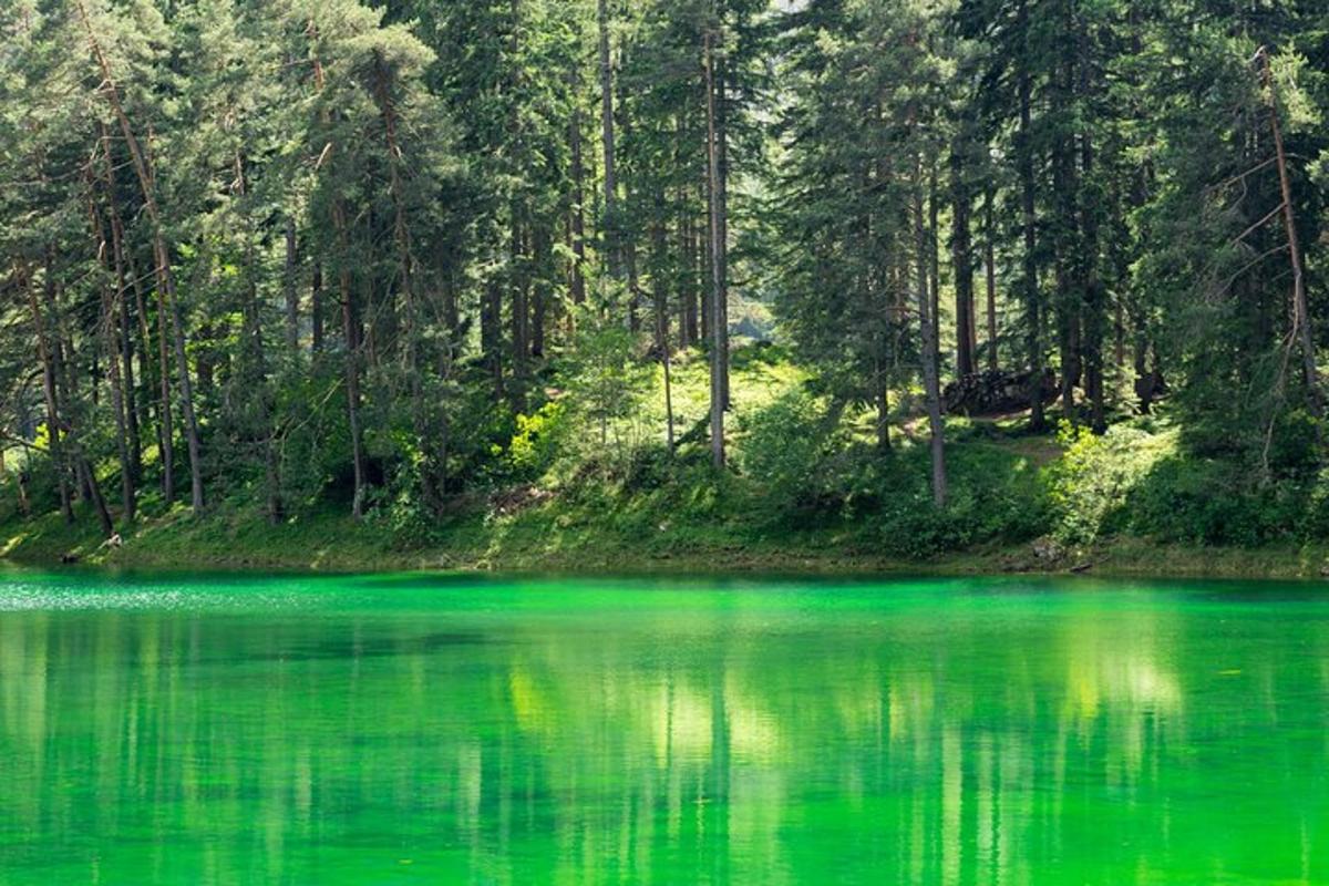 o întindere de apă verde cu copaci în fundal