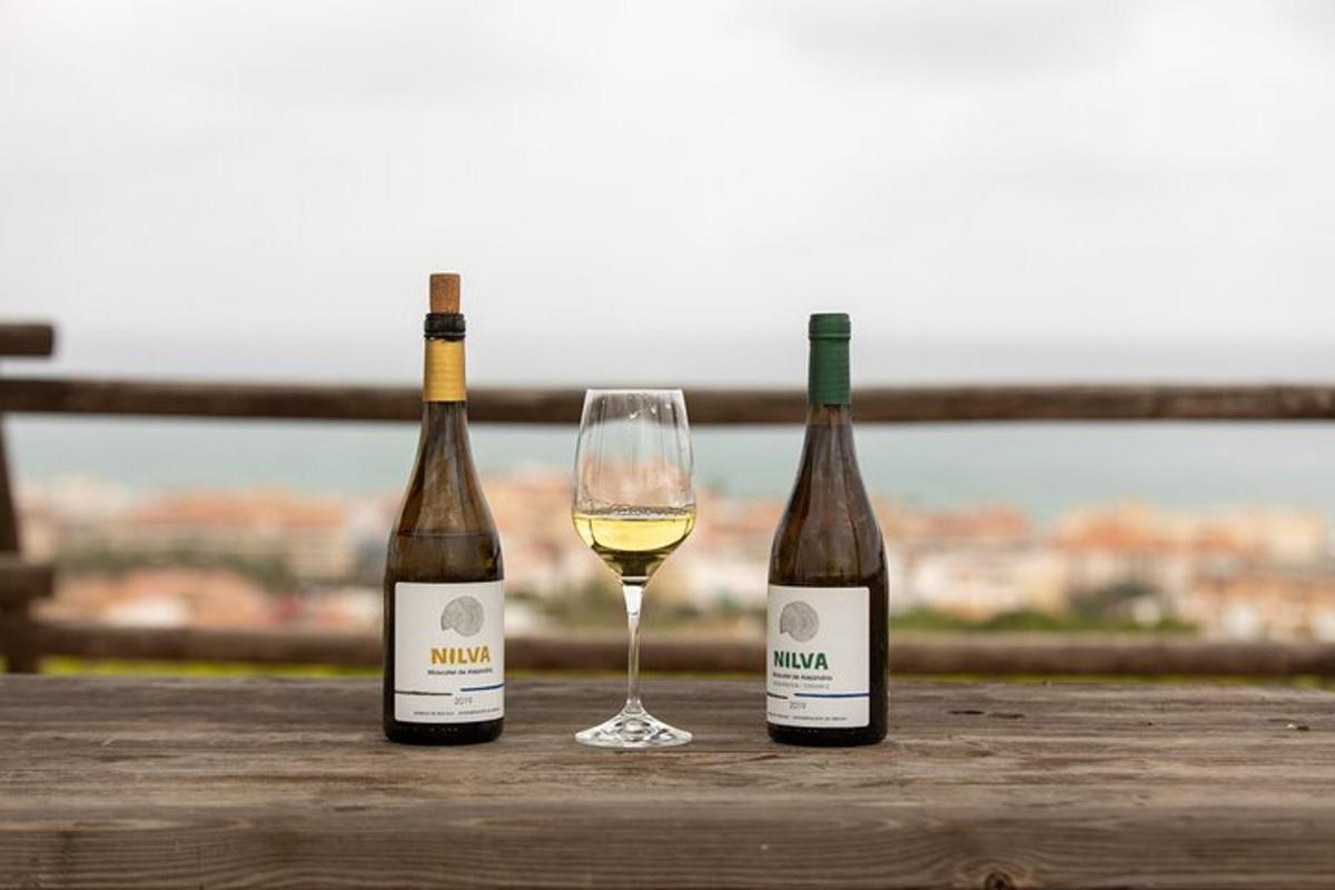 due bottiglie di vino e un bicchiere di vino bianco