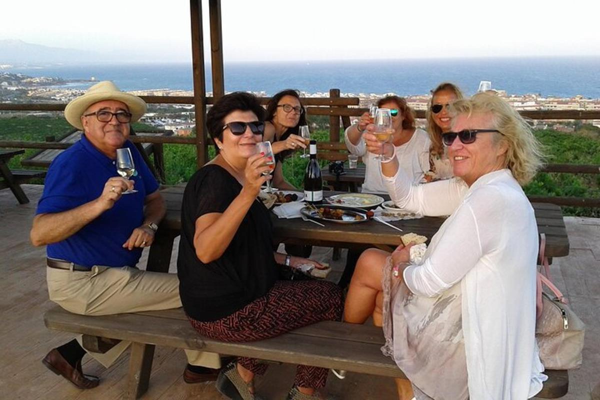 Un grupo de personas sentadas en una mesa de picnic bebiendo vino.